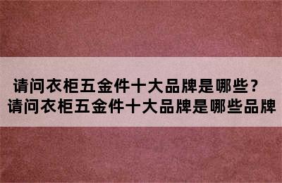 请问衣柜五金件十大品牌是哪些？ 请问衣柜五金件十大品牌是哪些品牌